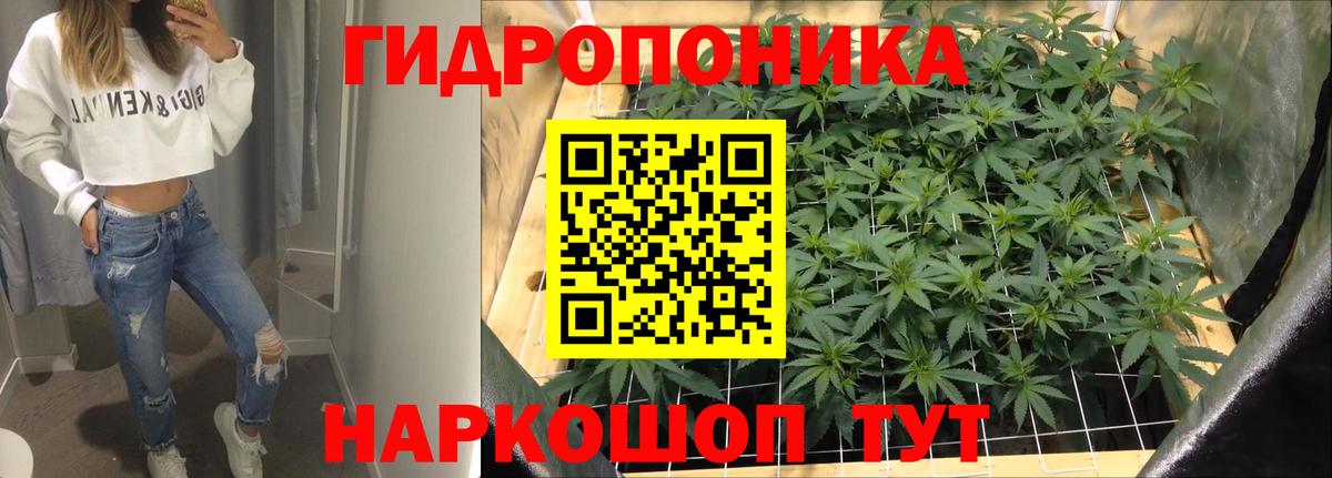 Каннабис OG Kush Нефтекамск